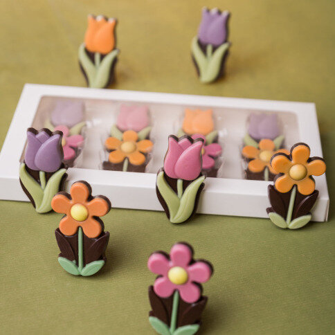 Čokoládové tulipány a sedmokrásky